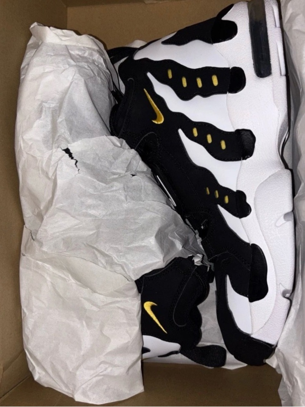 Nike DT size 10